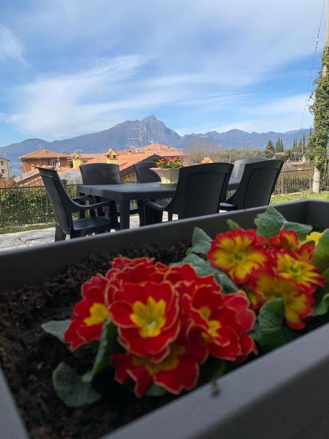 Casa Bruna, 3-room With Private Garden