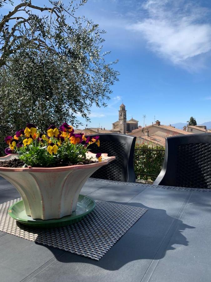 Apartment Casa Bruna, 3-room With Private Garden *